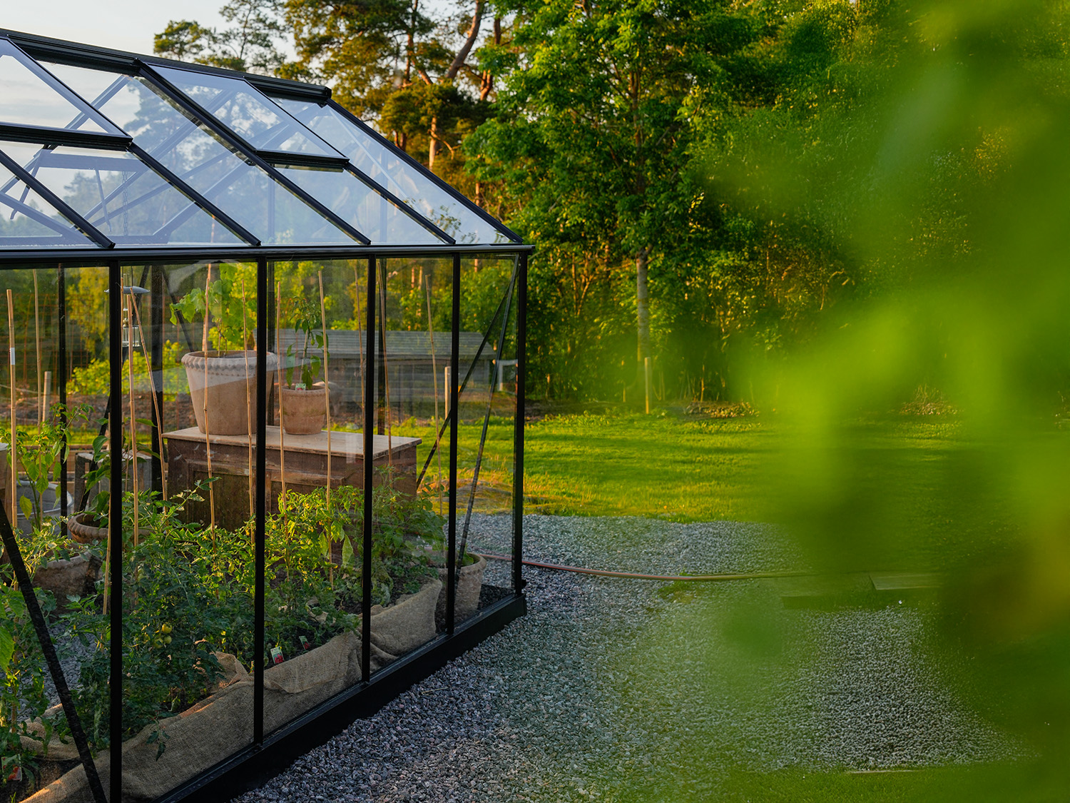 stort drivhus solstuen sort