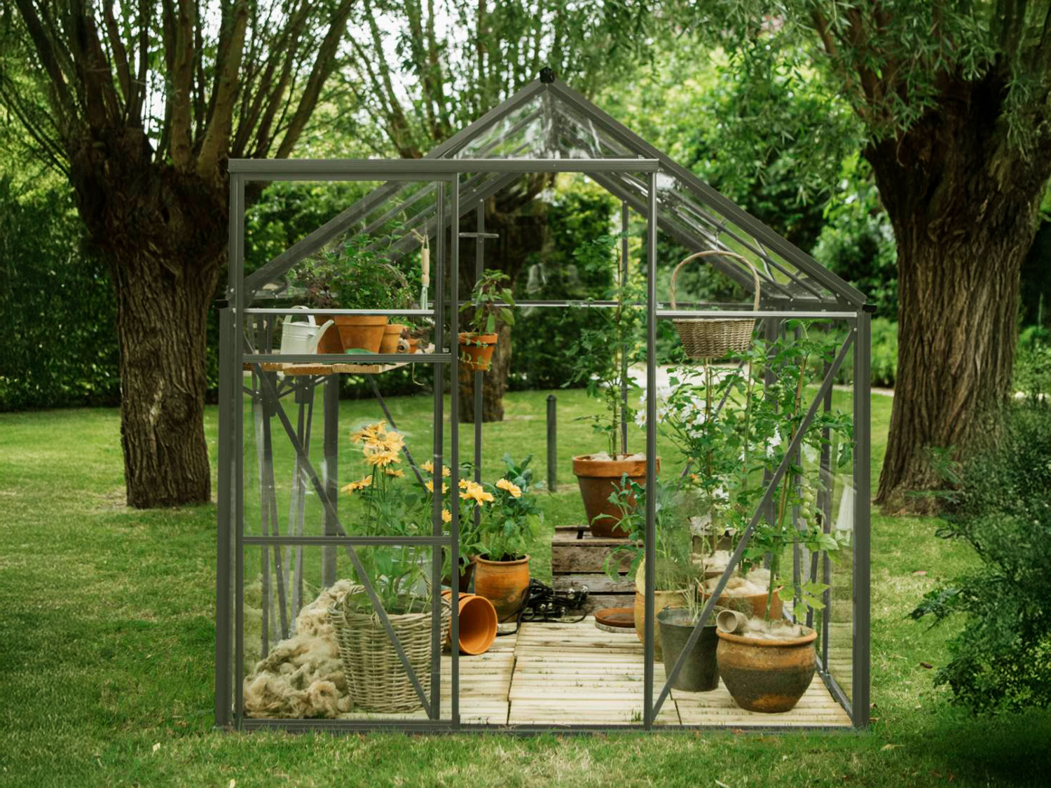 Spire drivhus olivengrå tatt forfra i hage