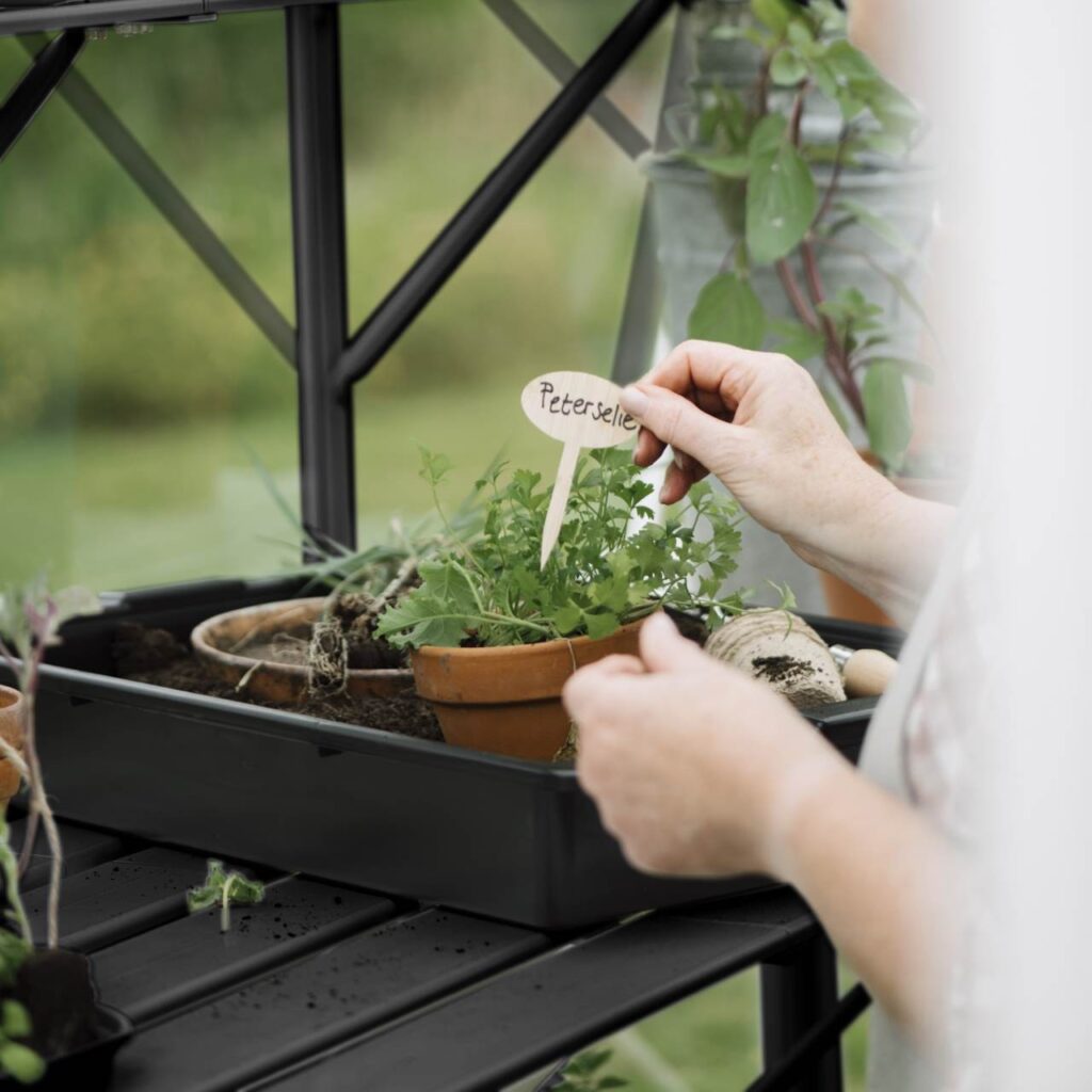 solstuen drivhusbenk sort med dame som planter