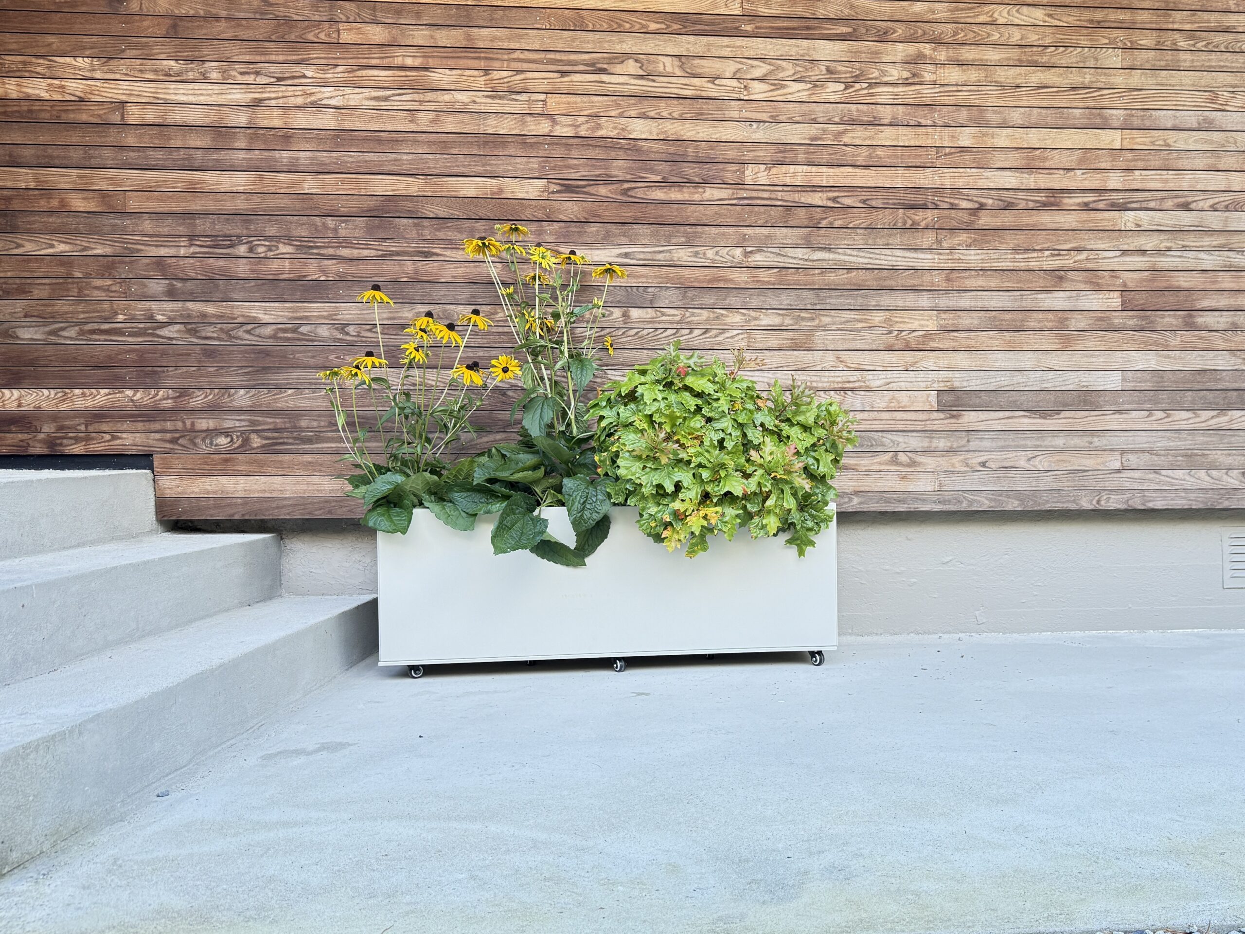 Beige plantekasse med planter i. Foto.