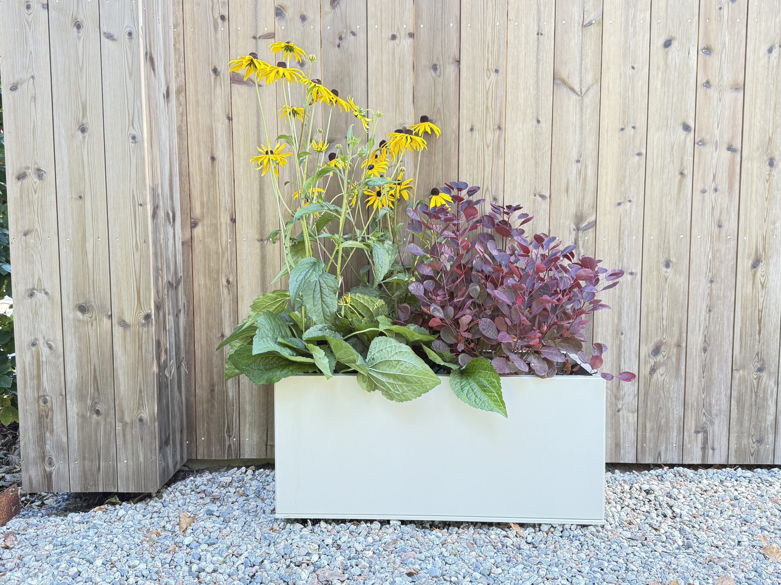 Beige plantekasse med planter i. Foto. 