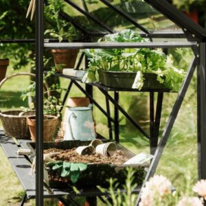 Drivhus Royal Well Spire 8,5m² Sort