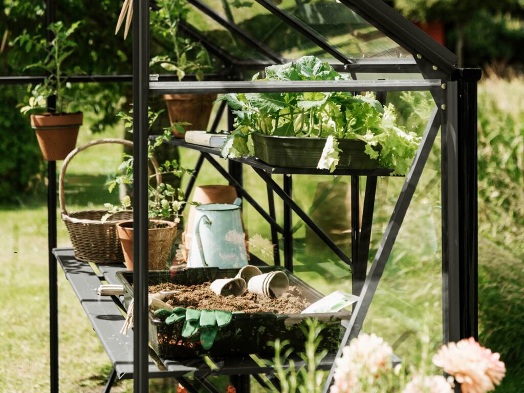 Drivhus Royal Well | Spire 8,5m² | Sort - Bilde 1