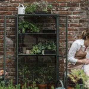 Drivhus Royal well Urban large Olivengrå