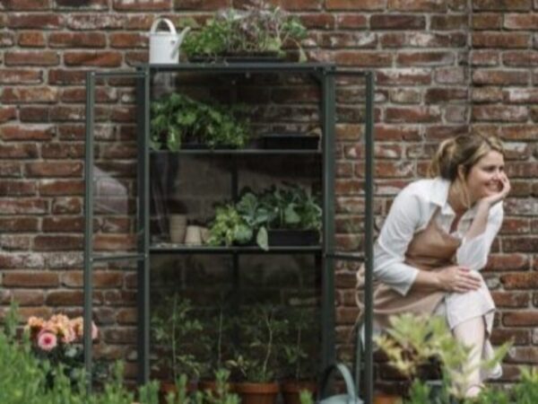 Drivhus Royal well Urban large Olivengrå