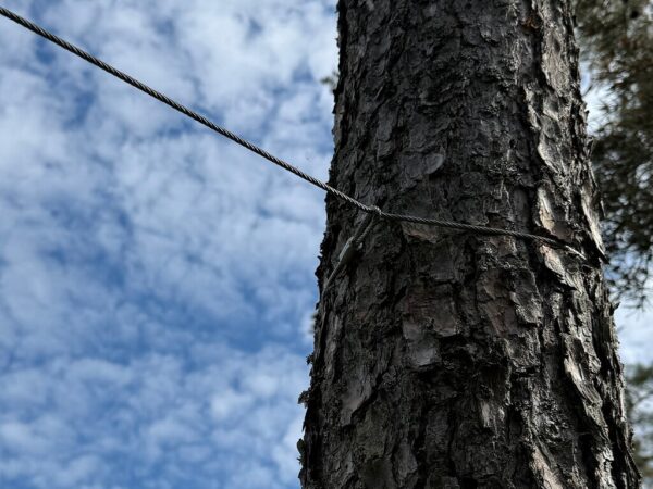 Zipline 30m med huske