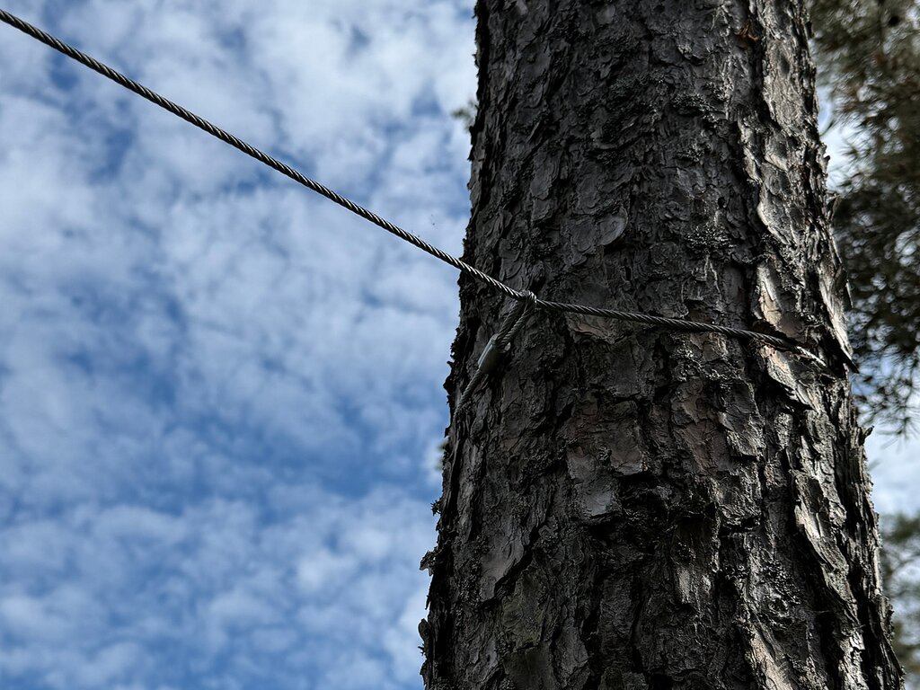 Zipline 30m med huske - Bilde 9